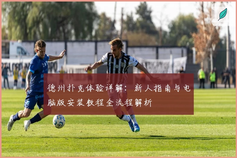 德州扑克体验详解：新人指南与电脑版安装教程全流程解析