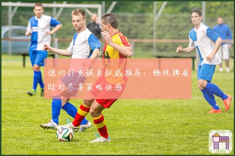 德州扑克娱乐权威推荐，畅玩牌局时刻尽享策略快感