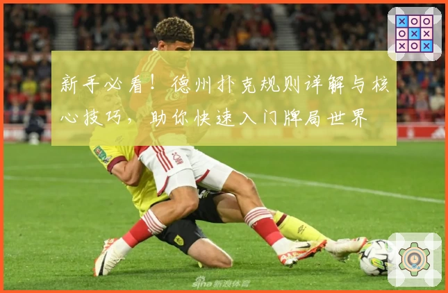 新手必看!德州扑克规则详解与核心技巧,助你快速入门牌局世界