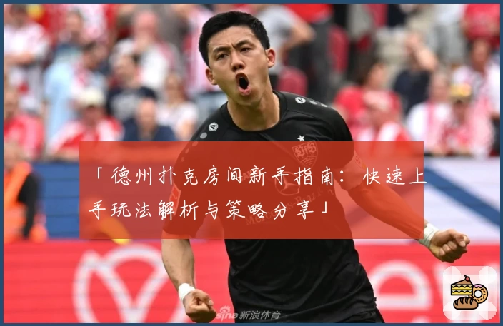 「德州扑克房间新手指南：快速上手玩法解析与策略分享」