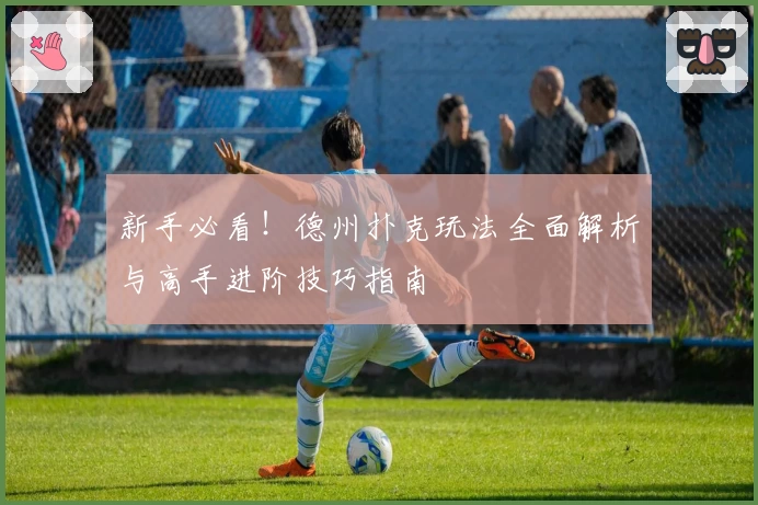 新手必看！德州扑克玩法全面解析与高手进阶技巧指南